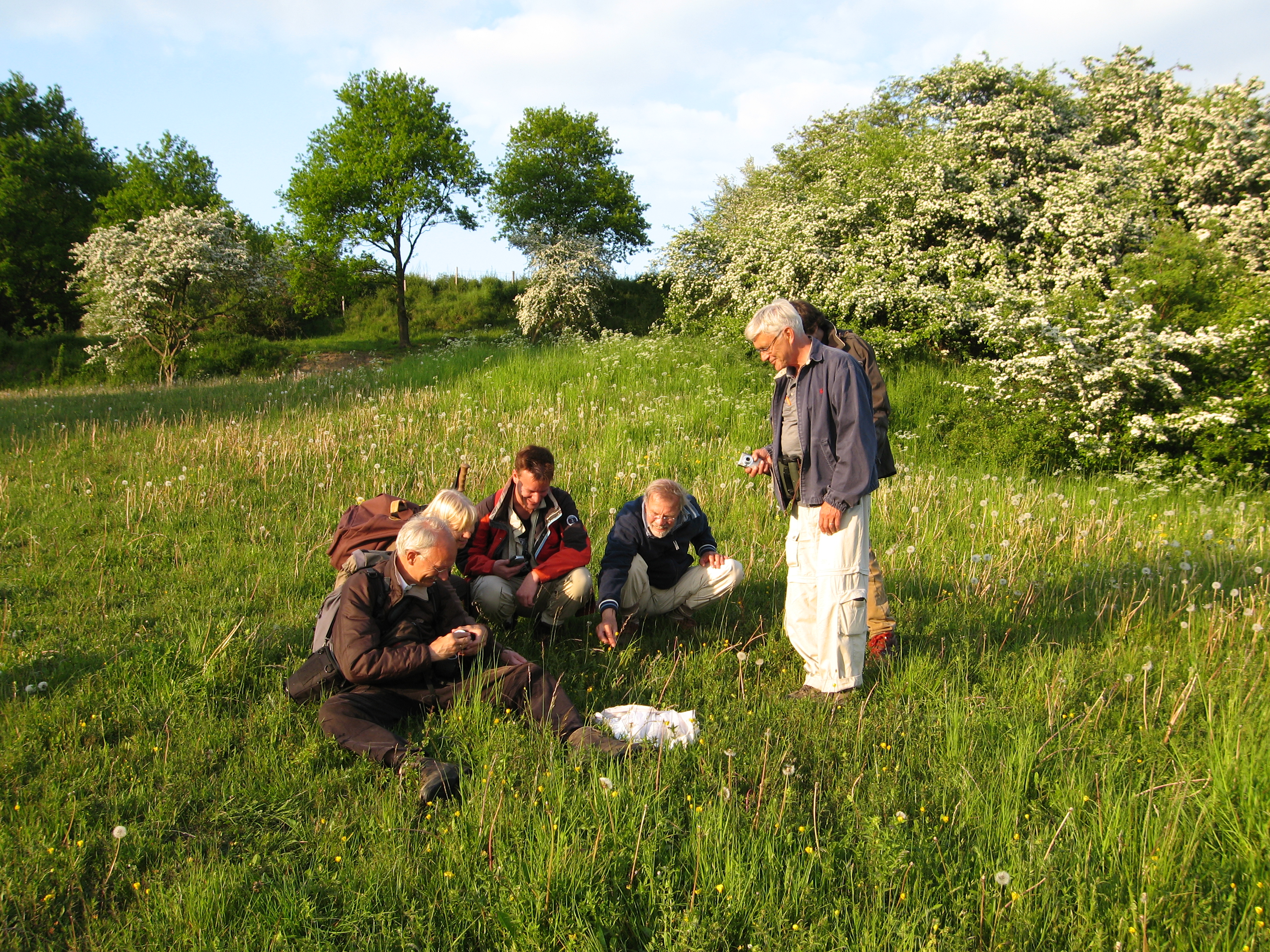 VWG Eurobirdwatch